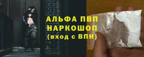 эйфоретик Арсеньев