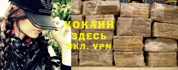 эйфоретик Арсеньев